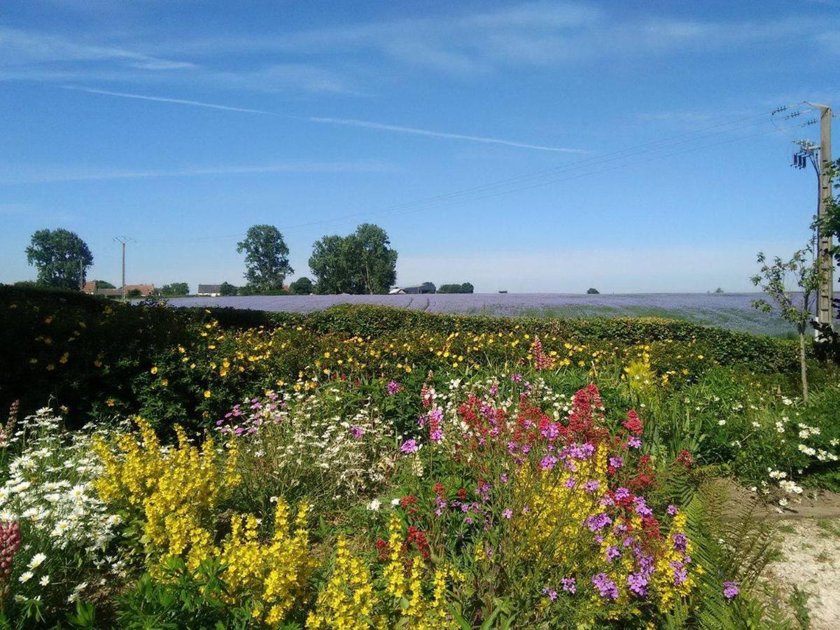 Les Coquelicots Villa Nibas Exteriör bild