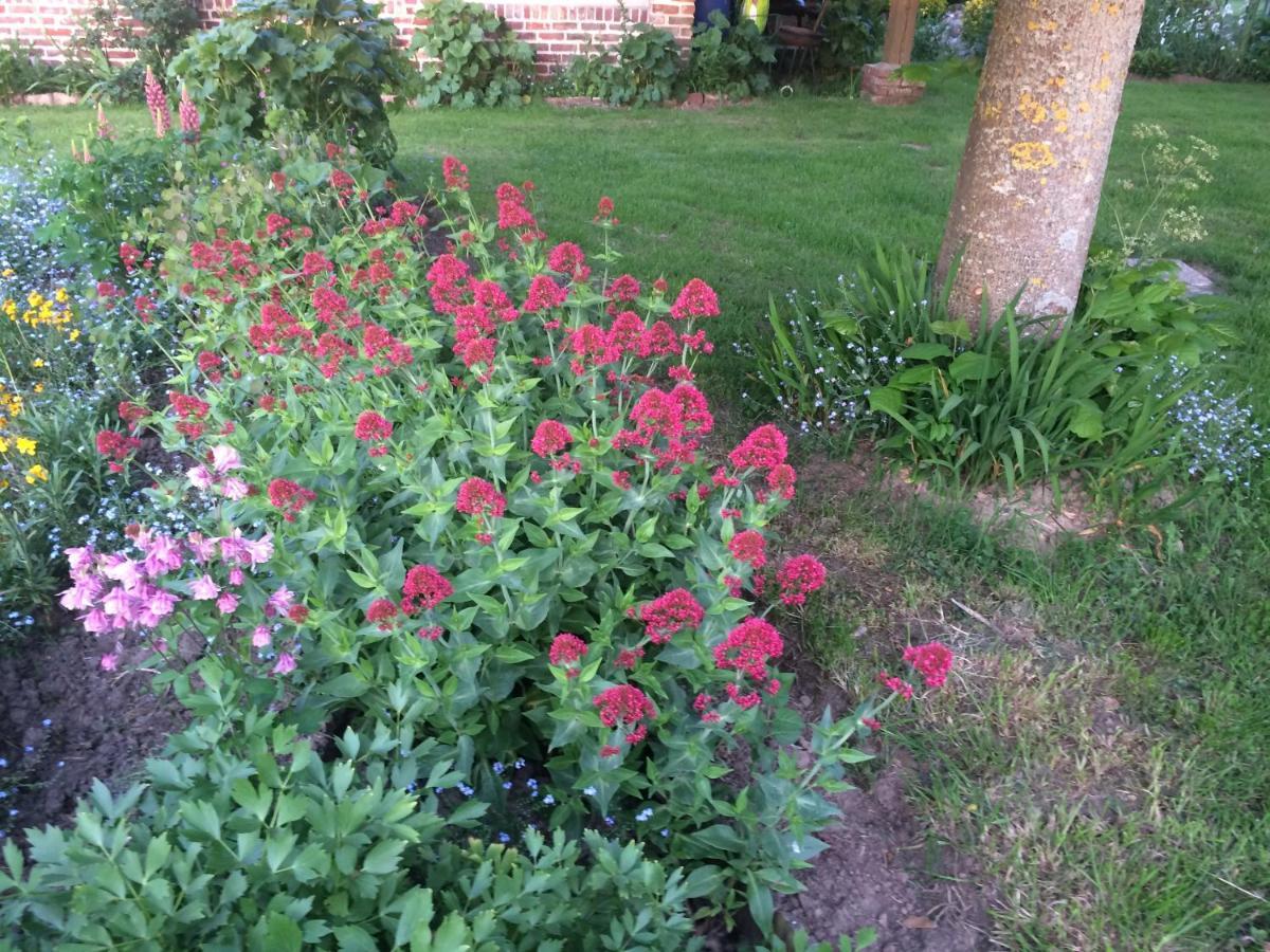 Les Coquelicots Villa Nibas Exteriör bild